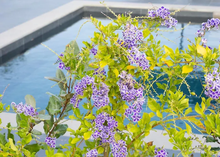 Sea Breeze Suites Maistro 4Per With Private Pool